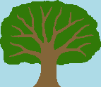 Image of a tree