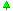 Image of a small tree